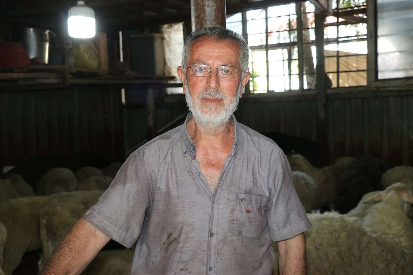 30 yıllık kurban satıcısından kurbanlık alım ve kesimi ile ilgili tavsiyeler 30 yıllık kurban satıcısından kurbanlık alım ve kesimi ile ilgili tavsiyeler